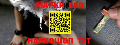 дмт Гатчина