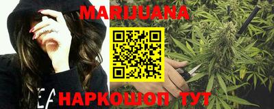 дмт Гатчина
