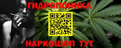 дмт Гатчина