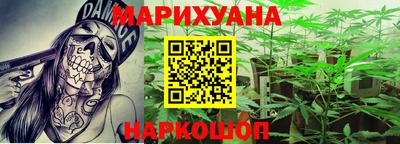 дмт Гатчина