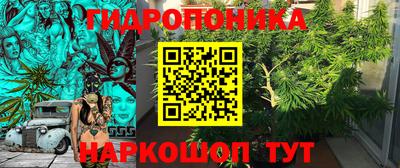 мяу мяу мука Беслан