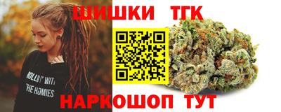 дмт Гатчина