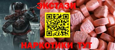 дмт Гатчина