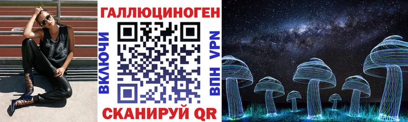 Псилоцибиновые грибы Psilocybine cubensis  где найти   Лениногорск 