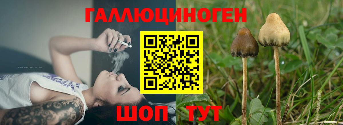 Лениногорск  Псилоцибиновые грибы ЛСД  Вход с VPN 
